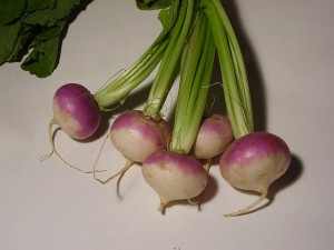 ingredientitipici3-nauris-rapa